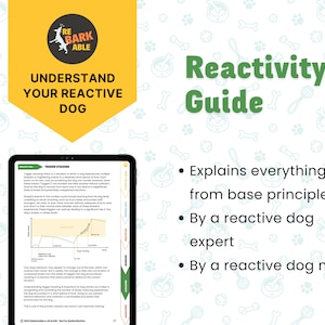 Rebarkable Reactivity Guide: A Comprehensive Guide for Dogs and Their Owners image 6