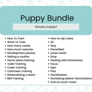 REBARKABLE PUPPY BUNDLE Positive Reinforcement Puppy Training By Qualified Trainer image 3