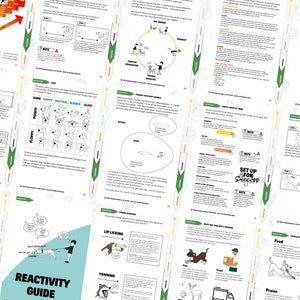 Rebarkable Reactivity Guide: A Comprehensive Guide for Dogs and Their Owners image 9
