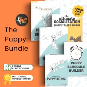 REBARKABLE PUPPY BUNDLE! Positive Reinforcement Puppy Training By Qualified Trainer