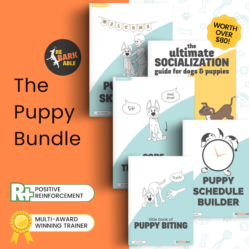 REBARKABLE PUPPY BUNDLE Positive Reinforcement Puppy Training By Qualified Trainer image 1