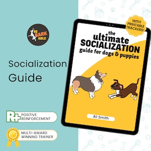 Socialization guide for dogs and puppies by a professional dog trainer