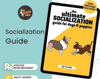 Socialization guide for dogs and puppies by a professional dog trainer