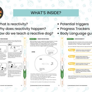 Rebarkable Reactivity Guide: A Comprehensive Guide for Dogs and Their Owners image 7