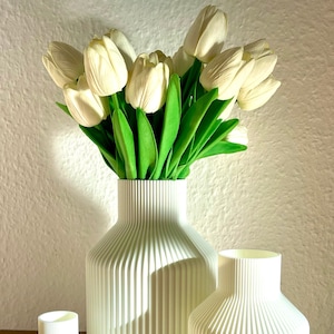 BloomiqueCo Vase Bottle / Verschiedene Größen / Dekovase / Vase/ 3D Druck / Pampasgras / Trockenblumen / Dekoration / Eukalyptus Bild 4