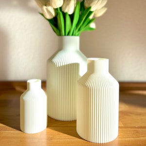 BloomiqueCo Vase Bottle / Verschiedene Größen / Dekovase / Vase/ 3D Druck / Pampasgras / Trockenblumen / Dekoration / Eukalyptus Bild 3