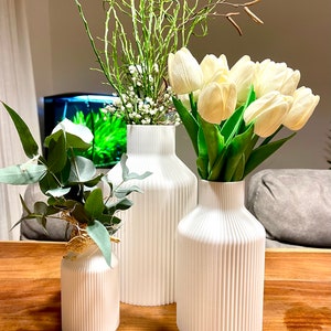 BloomiqueCo Vase Bottle / Verschiedene Größen / Dekovase / Vase/ 3D Druck / Pampasgras / Trockenblumen / Dekoration / Eukalyptus Bild 5