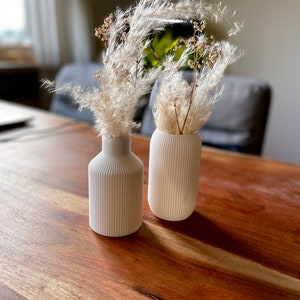 BloomiqueCo Vase Bottle / Verschiedene Größen / Dekovase / Vase/ 3D Druck / Pampasgras / Trockenblumen / Dekoration / Eukalyptus Bild 7