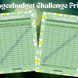 Daily budget challenge / budgeting / budget planning / budget planner / savings challenge / daily overview / save money / budget / print version