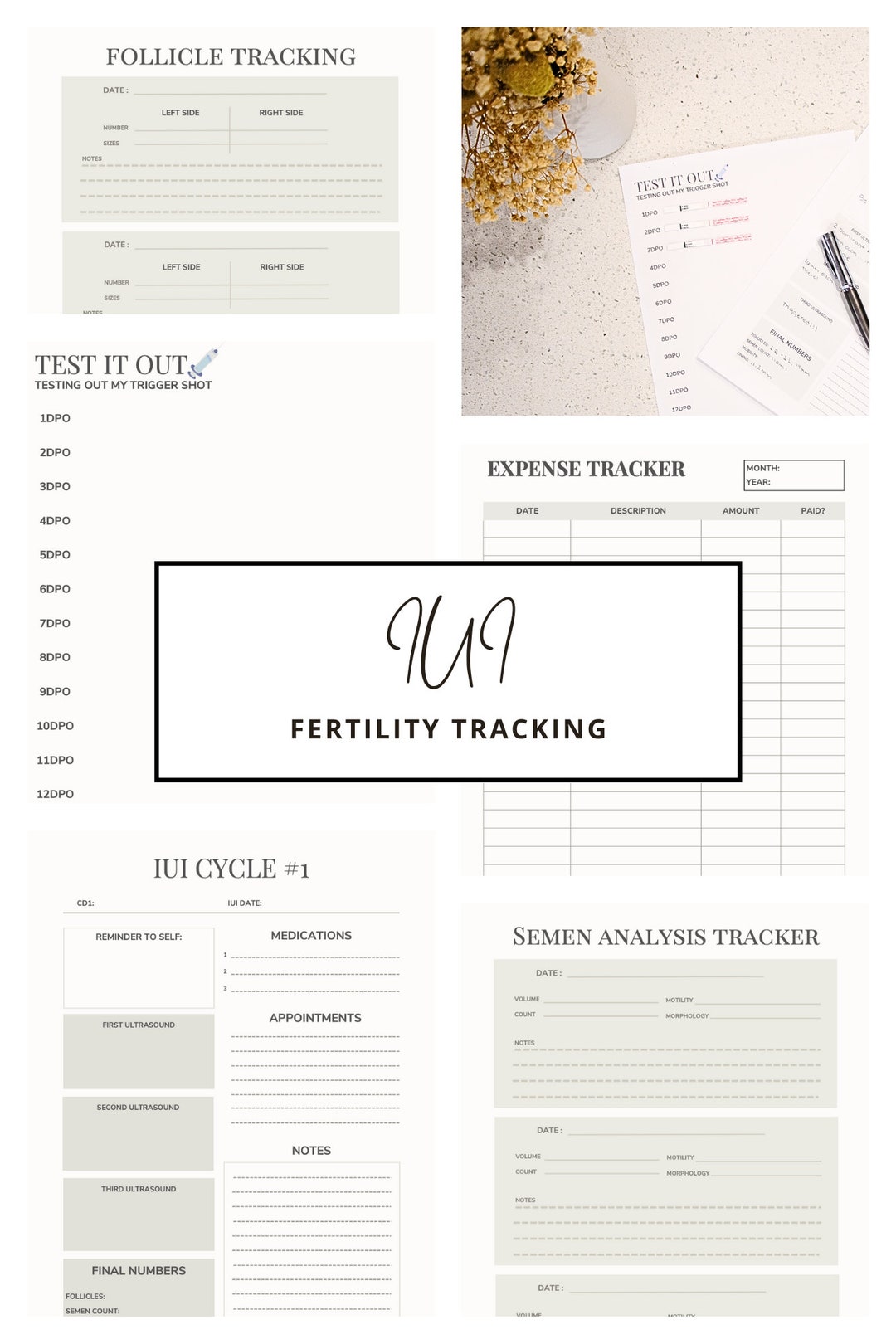 IUI Cycle 1 Tracking Packet Digital Download fertility Tracker neutral ...
