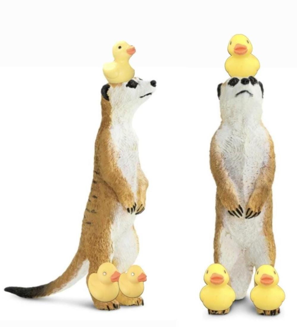 Dashmeerky Standard - Yellow Duckies - Etsy
