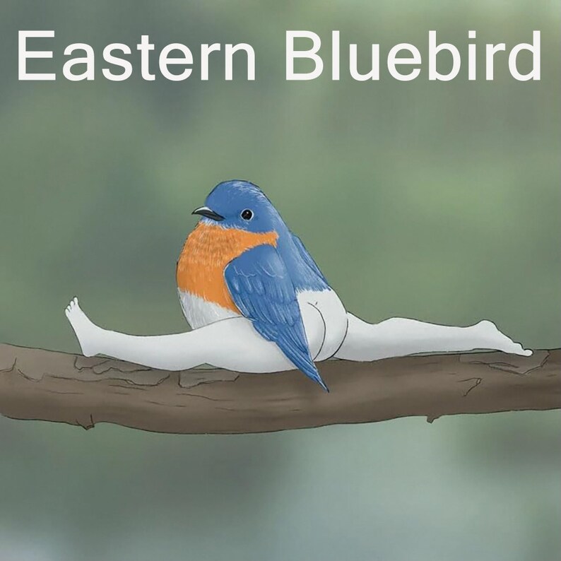 2024 Calendar of Extremely Accurate Birds Wall Calendarbirds Etsy New