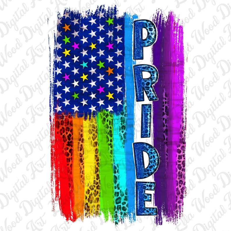 Pride LGBTQ+ American Flag Png, Pride Png, LGBTQ+ Png, Love is Love Png ...