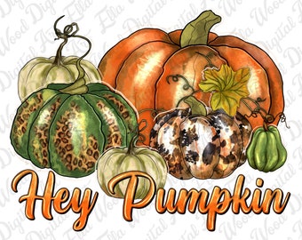 Hey pumpkin png sublimation design download, Hello Fall png, Autumn png, Fall vibes png, pumpkin png, sublimate designs download