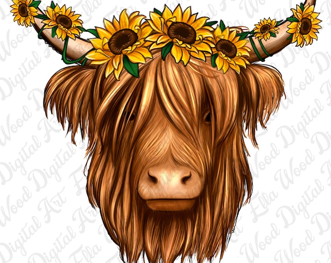 Cute Highland Cow Png Sunflowers Png Highland Cow Clipart Heifer Cow ...