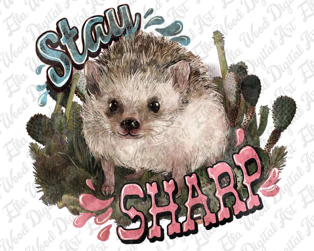 Stay Sharp Hedgehog Png Sublimation Design Download, Western Hedgehog ...