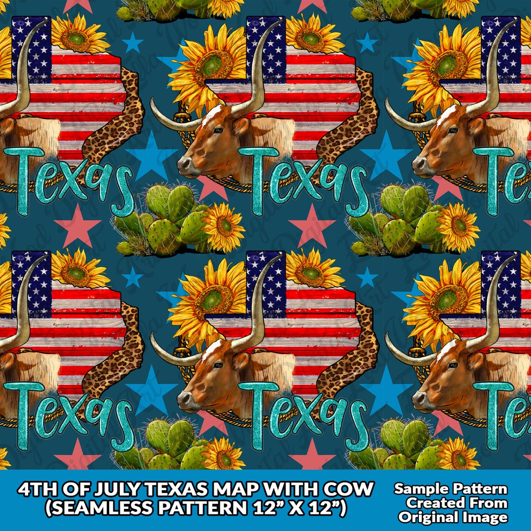 where to go for 4th of july in texas