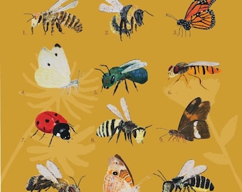 Peut inclure: Un guide illustré sur les pollinisateurs de Pennsylvanie, présentant 12 insectes et papillons différents. Le guide comprend une abeille à miel, un bourdon, un monarque, une piéride de la choucroute, une abeille maçonnière du verger, un syrphe, une coccinelle, une abeille maçonnière, un hétérocère à points argentés, une abeille à courge, un papillon buckeye commun et une abeille coupeuse de feuilles.