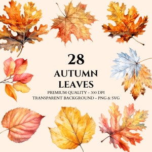 Aquarell Herbstlaub, Herbst Clipart, Ahornblatt, Eichenblatt, Birkenblatt, PNG und SVG, Papierhandwerk, Scrapbook, kommerzielle Nutzung