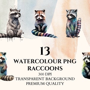 Watercolor Raccoon, Woodland Animals Clipart, Digital Download, PNG Bundle, Scrapbooking, Printable, Nursery Decor