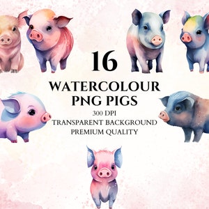 Watercolor Pig, Clipart, Digital Download, PNG Bundle, Baby Shower, Printable Image, Scrapbooking, Nursery Decor