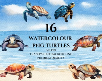 Watercolor Turtles, Sea Creatures, Ocean Animals, PNG Bundle, Clipart, Sublimation Design, Digital Download, Baby Shower, Scrapbooking
