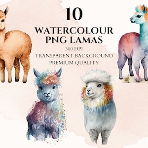 Lama Watercolor Clipart, Digital Download, PNG Bundle, Baby Shower, Printable Image, Scrapbooking, Nursery Decor