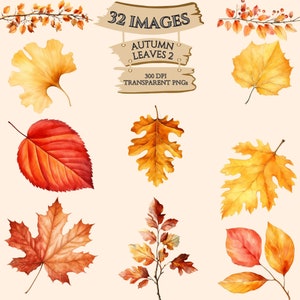 Aquarell Herbstlaub Bundle, Herbst Clipart, Ahornblatt, Eichenblatt, Birkenblatt, PNG-Grafiken, Papierkunst, Scrapbook, kommerzielle Nutzung