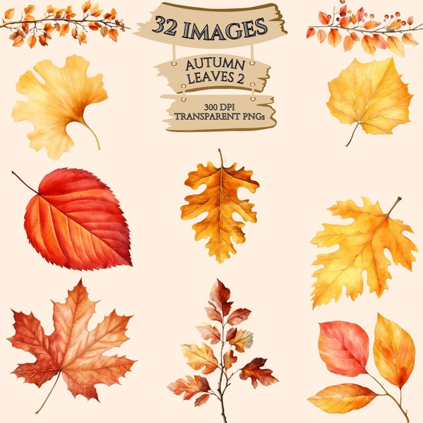 Watercolor Autumn Leaves Bundle, Fall Clipart, Maple Leaf, Oak Leaf, Birch Leaf, PNG Graphics, Paper Crafts, Scrapbook, Commercial Use