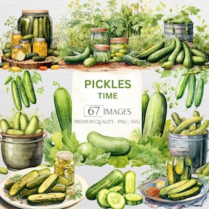 Clipart di sottaceti ad acquerello, pacchetto alimentare, cetriolo, giardino, verdure, piante, PNG e SVG, diario spazzatura, artigianato con la carta, uso commerciale