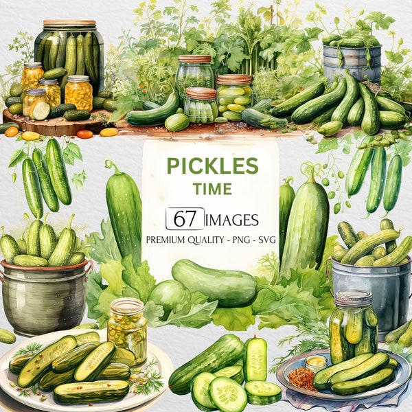 Watercolor Pickles Clipart, Food Bundle, Cucumber, Garden, Vegetables, Plants, PNG And SVG, Junk Journal, Paper Crafts, Commercial Use