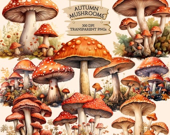 Watercolor Autumn Mushrooms Clipart, Fall Season, Nature, Forest, PNG Graphics, Paper Crafts, Scrapbook, Junk Journal, Commercial Use