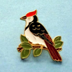 WOODPECKER ENAMELED BIRD Pin- Bird Lover Pin, Nature Lover Pin, Woodpecker Pin, Enameled Jewelry, Birder Pin