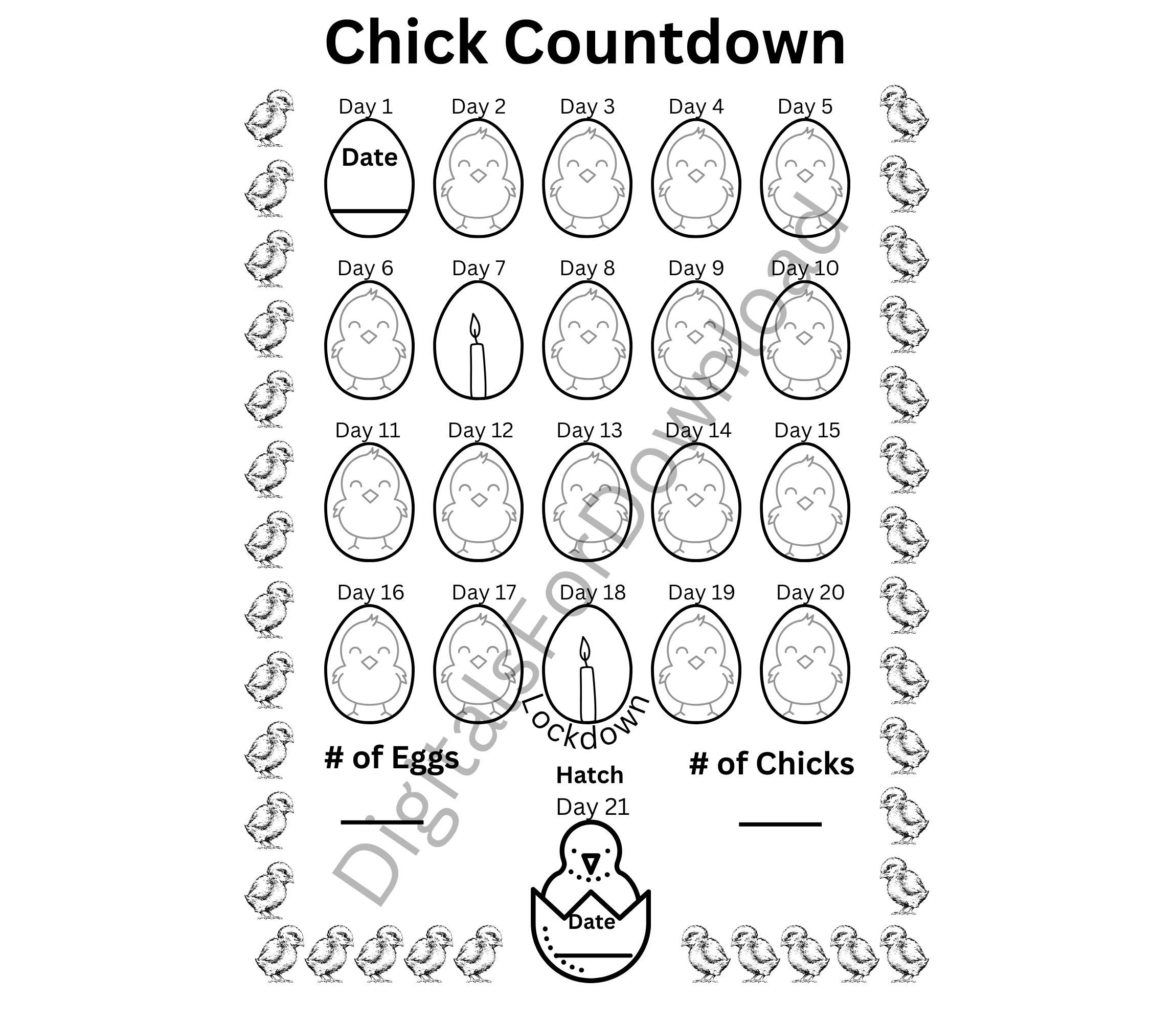Chicken Chick Countdown PDF Download Coloring Sheet Countdown to Chicks ...