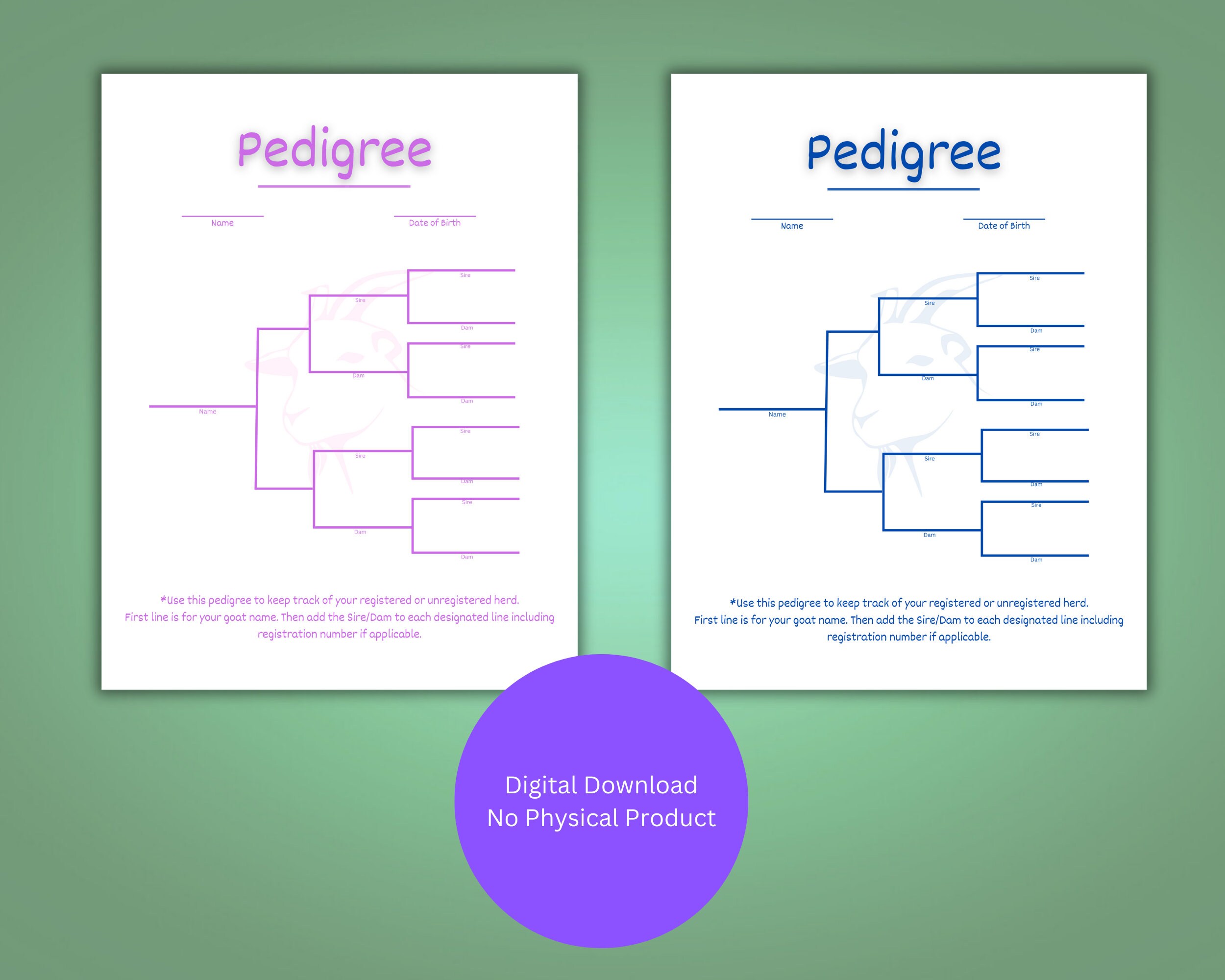Goat Pedigree. Pink Pedigree Template. Blue Pedigree Template. - Etsy