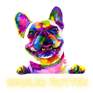 Spoiled Rotten Dog