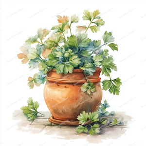 15 Eingemachte Kräuter Clipart | Aquarell Gartenkräuter für Planer, Journals & Creative Projects | Terrakotta Pflanzgefäße FDK