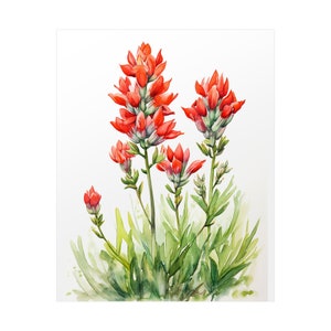 Indian Paintbrush Painting Wildflowers Wall Art Print Texas State Flower Watercolor Floral Poster Farmhouse Kitchen Wall Decor