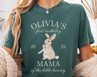 Some Bunny Is One First Birthday Shirt Bunny Theme Easter Birthday 1st Birthday Bunny Mama Dada Shirt First Birthday Matching Family Shirt