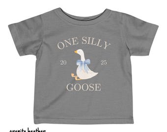 One Silly Goose First Birthday Shirt Cake Smash Shirt Goose Theme Boy 1st Birthday Silly Goose Shirt Infant Tee First Birthday Outfit Goose