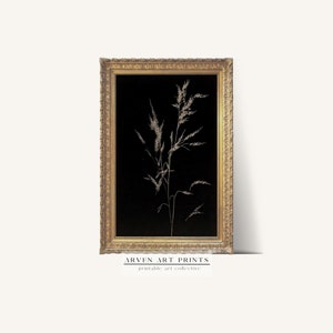 Vintage Dark Moody Botanical Oil Painting | Digital Home Decor Wall Art |  Printable  Arven Prints |