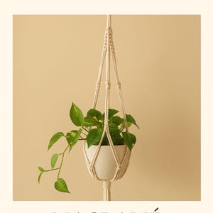 Macramé Plant Hanger Pattern PDF | Beginner DIY Boho Decor Tutorial with Step-by-Step Knot Instructions | Digital Download