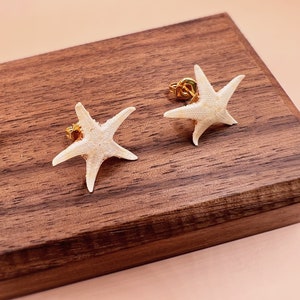 Pu&ograve; includere: Un paio di orecchini a lobo a forma di stella marina. Gli orecchini sono bianchi con una superficie strutturata e perni color oro. Sono esposti su una superficie di legno marrone scuro su sfondo rosa chiaro. Un accessorio perfetto.