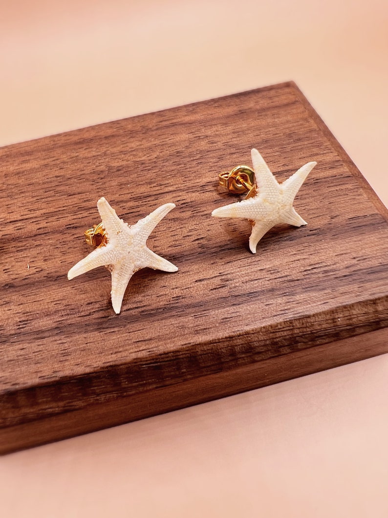 Pu&ograve; includere: Un paio di orecchini a lobo a forma di stella marina. Gli orecchini sono bianchi con una superficie strutturata e perni color oro. Sono esposti su una superficie di legno marrone scuro su sfondo rosa chiaro. Un accessorio perfetto.