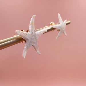 Pu&ograve; includere: Orecchini a forma di stella marina. Gli orecchini presentano piccole stelle marine bianche attaccate a perni color oro. Le stelle marine hanno una superficie strutturata, su uno sfondo rosa tenue.