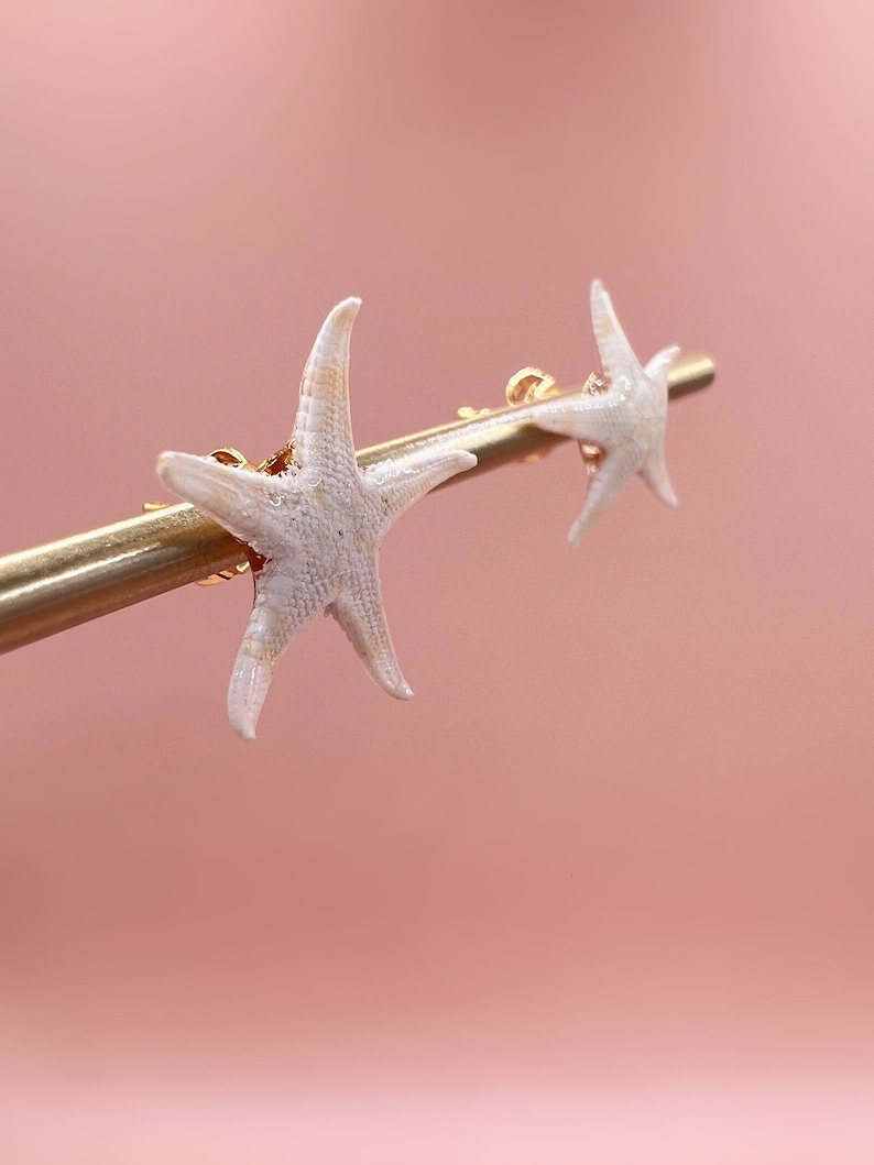 Pu&ograve; includere: Orecchini a forma di stella marina. Gli orecchini presentano piccole stelle marine bianche attaccate a perni color oro. Le stelle marine hanno una superficie strutturata, su uno sfondo rosa tenue.
