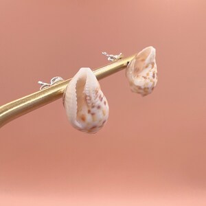 Pu&ograve; includere: Orecchini a bottone a forma di conchiglia. Ogni orecchino presenta una piccola conchiglia naturale con un motivo maculato crema e marrone. Gli orecchini sono montati su perni d'argento, su sfondo pesca.
