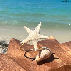 Véritable bague coquillage étoile de mer : plaqué or 14 carats, bijoux hawaïens faits main