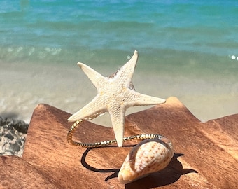 Anello con vera stella marina e conchiglia: placcato oro 14 carati, gioiello hawaiano fatto a mano.