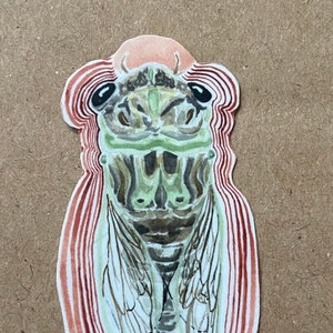 Cicada Screaming Sticker